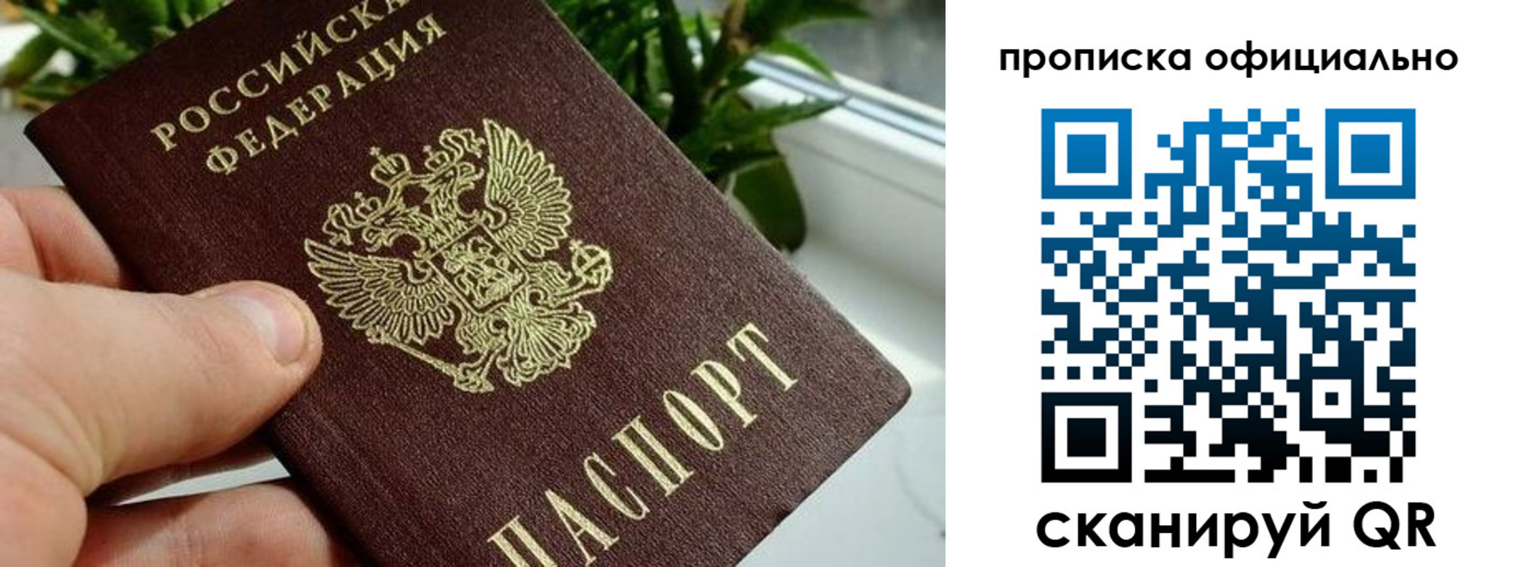 прописка поиск в Вязьме
